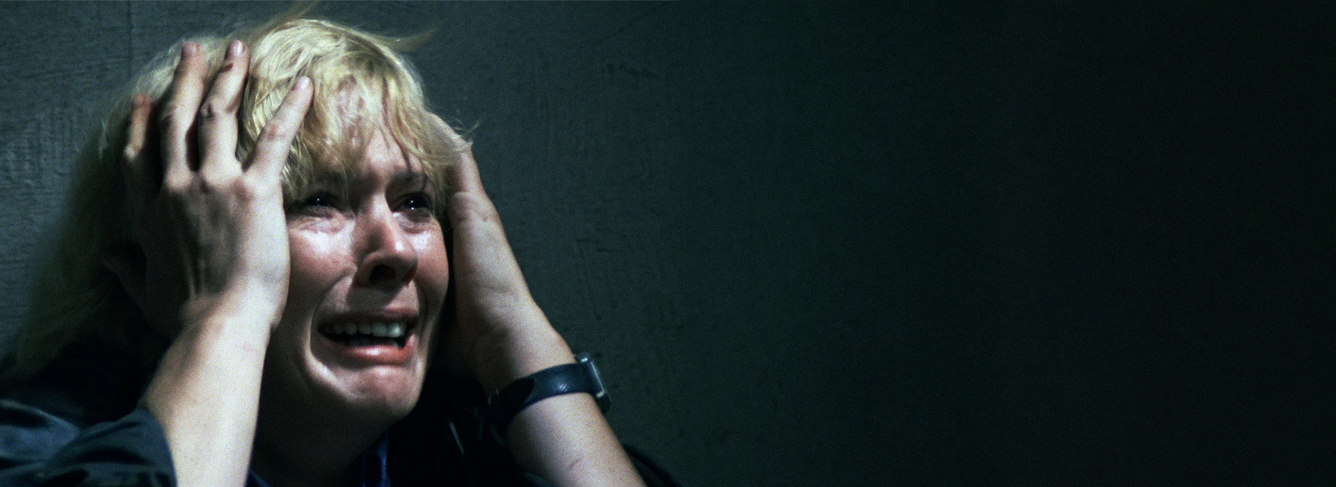Provocative Cinema for True Collectors